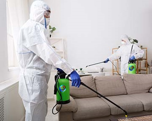 Disinfecting Services