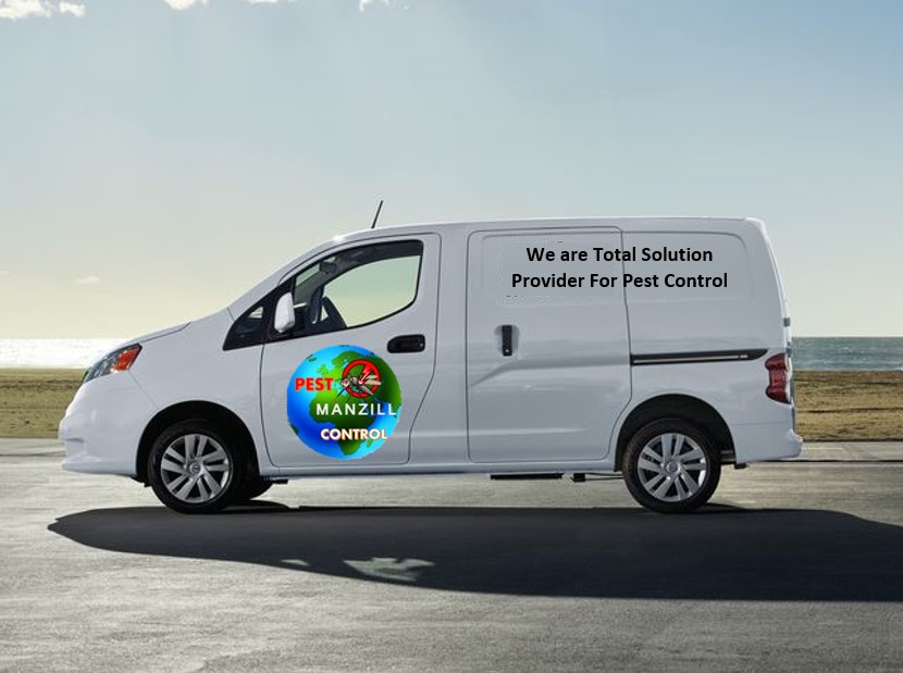 Van Picture